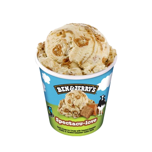 Ben & Jerry’s 460 ml – Grand format à Gratentour